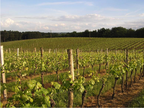 Domaine du Peyrat